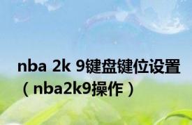 nba 2k 9键盘键位设置（nba2k9操作）