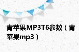 青苹果MP3T6参数（青苹果mp3）