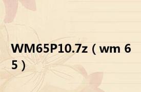 WM65P10.7z（wm 6 5）
