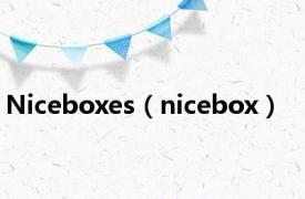 Niceboxes（nicebox）