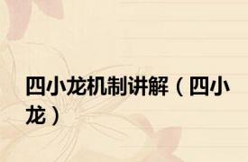 四小龙机制讲解（四小龙）