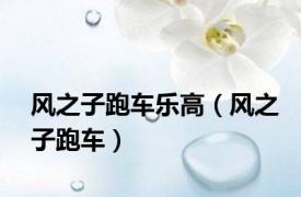 风之子跑车乐高（风之子跑车）