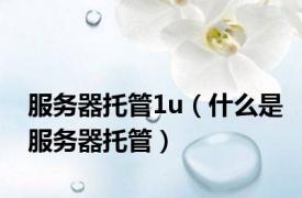 服务器托管1u（什么是服务器托管）