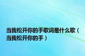 当我松开你的手歌词是什么歌（当我松开你的手）