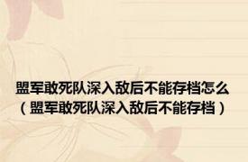 盟军敢死队深入敌后不能存档怎么（盟军敢死队深入敌后不能存档）