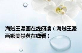 海贼王漫画在线阅读（海贼王漫画娜美禁黄在线看）