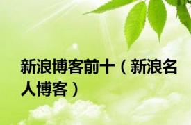 新浪博客前十（新浪名人博客）