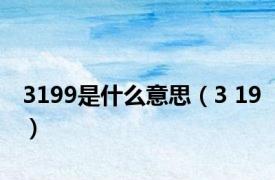 3199是什么意思（3 19）