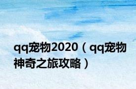 qq宠物2020（qq宠物神奇之旅攻略）