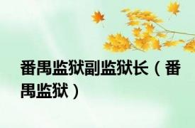 番禺监狱副监狱长（番禺监狱）