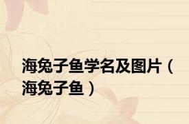 海兔子鱼学名及图片（海兔子鱼）