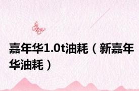 嘉年华1.0t油耗（新嘉年华油耗）