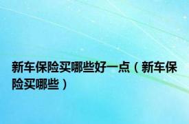 新车保险买哪些好一点（新车保险买哪些）