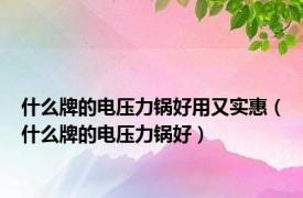 什么牌的电压力锅好用又实惠（什么牌的电压力锅好）
