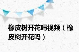 橡皮树开花吗视频（橡皮树开花吗）