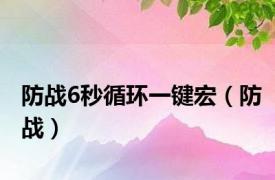 防战6秒循环一键宏（防战）