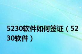 5230软件如何签证（5230软件）