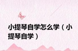 小提琴自学怎么学（小提琴自学）
