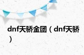 dnf天骄金团（dnf天骄）