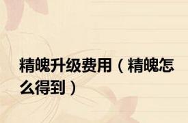 精魄升级费用（精魄怎么得到）