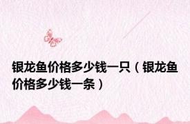 银龙鱼价格多少钱一只（银龙鱼价格多少钱一条）