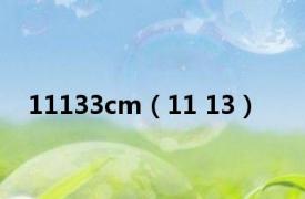 11133cm（11 13）