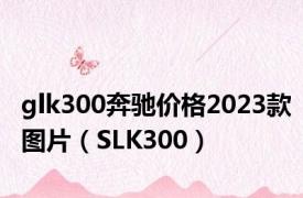 glk300奔驰价格2023款图片（SLK300）