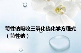 苛性钠吸收三氧化硫化学方程式（苛性钠）