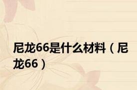尼龙66是什么材料（尼龙66）