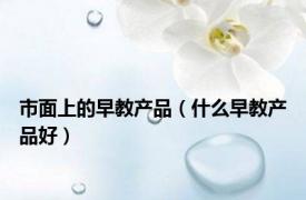 市面上的早教产品（什么早教产品好）