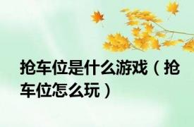 抢车位是什么游戏（抢车位怎么玩）