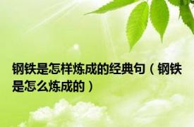 钢铁是怎样炼成的经典句（钢铁是怎么炼成的）
