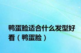 鸭蛋脸适合什么发型好看（鸭蛋脸）