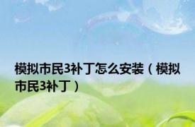 模拟市民3补丁怎么安装（模拟市民3补丁）