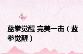 蓝拳觉醒 完美一击（蓝拳觉醒）