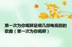 第一次为你喝醉是哪几部电视剧的歌曲（第一次为你喝醉）
