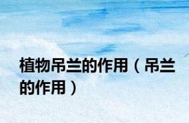 植物吊兰的作用（吊兰的作用）