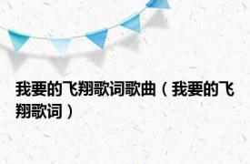 我要的飞翔歌词歌曲（我要的飞翔歌词）