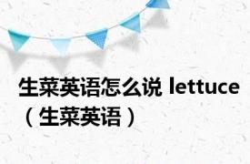 生菜英语怎么说 lettuce（生菜英语）