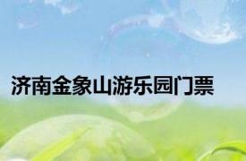 济南金象山游乐园门票