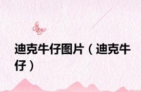 迪克牛仔图片（迪克牛仔）