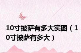 10寸披萨有多大实图（10寸披萨有多大）