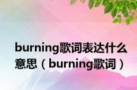 burning歌词表达什么意思（burning歌词）