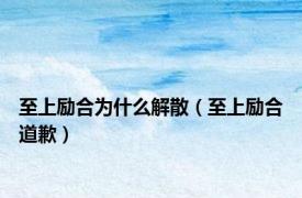 至上励合为什么解散（至上励合道歉）