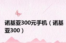 诺基亚300元手机（诺基亚300）