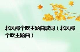 北风那个吹主题曲歌词（北风那个吹主题曲）