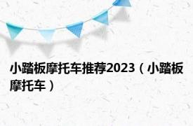 小踏板摩托车推荐2023（小踏板摩托车）