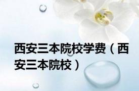 西安三本院校学费（西安三本院校）