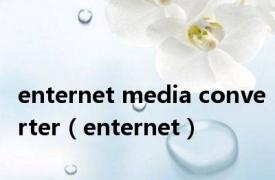 enternet media converter（enternet）