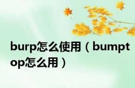 burp怎么使用（bumptop怎么用）